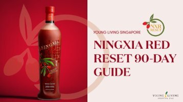 YLSG NingXia Red Reset Guide