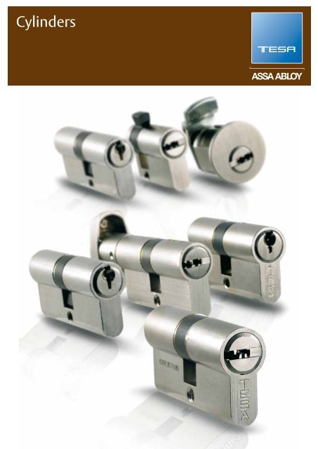 Cylinders catalogue PDF - Tesa