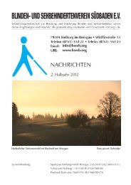 Download als PDF-Dokument - Blinden- und Sehbehindertenverein ...