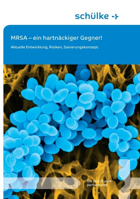 MRSA – ein hartnäckiger Gegner! - Schülke & Mayr