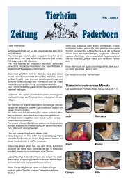 Die Hunde - Tierheim Paderborn