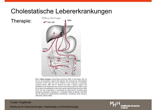 Zusammenfassung als PDF