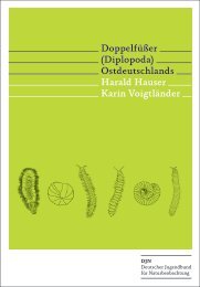 Leseprobe: Hauser & Voigtländer 2009, Doppelfüßer (Diplopoda ...