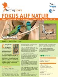 FOKUS AUF NATUR - Birdingtours