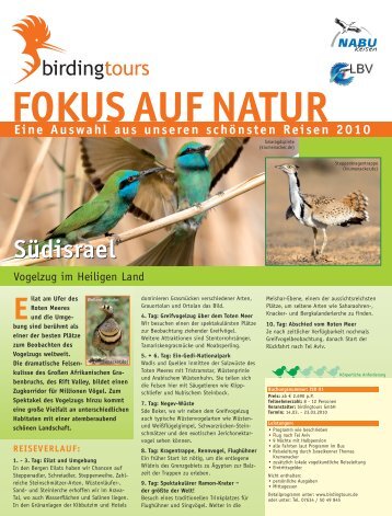 FOKUS AUF NATUR - Birdingtours