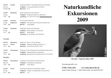 Naturkundliche Exkursionen 2009 - Nabu Gleisweiler