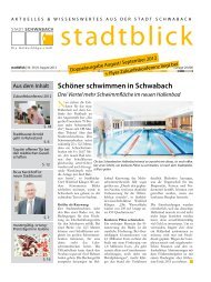 stadtblick-Auszug vom 08.08.2012 (PDF)