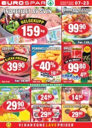 Dgruppen uke15 torsdag finnsnes
