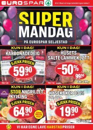 Dgruppen uke16 mandag harstad