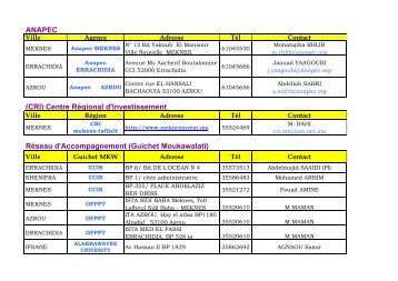 ANAPEC (CRI) Centre Régional d'Investissement ... - Moukawalati