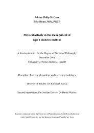 AMcCann PhD thesis_2011.pdf - University of Wales Institute Cardiff