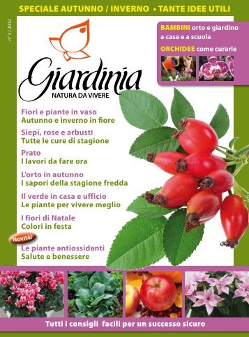 Giardinia - Bardin Garden Center