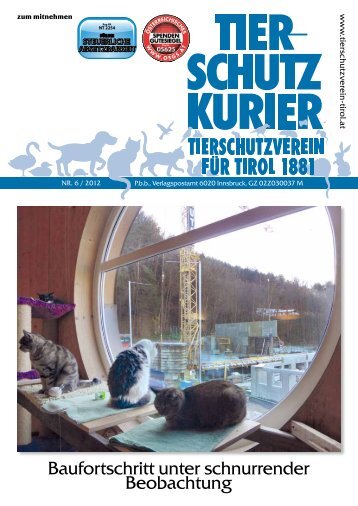 Baufortschritt unter schnurrender Beobachtung - Tierschutzverein für ...