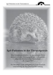 Igel-Patienten in der Tierarztpraxis - Igelzentrum Zürich