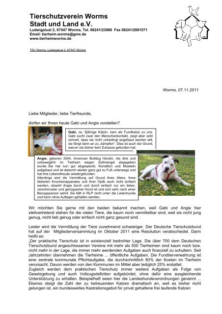 Tierschutzverein Worms Stadt und Land e. V.