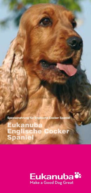 Eukanuba Englische Cocker Spaniel - Zooplus