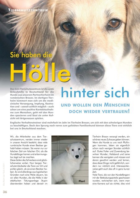 RDT 4/2011 - Bund gegen Missbrauch der Tiere ev