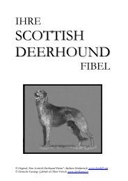 IHRE FIBEL - Scottish Deerhound