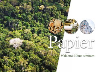 Papier - Wald und Klima schützen - Forum Umwelt und Entwicklung