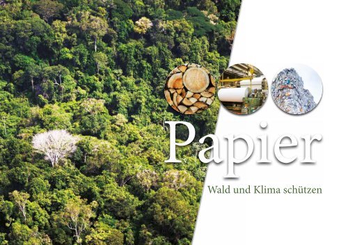 Papier - Wald und Klima schützen - Forum Umwelt und Entwicklung