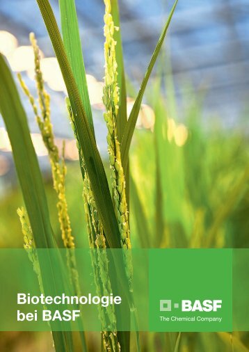 Biotechnologie bei BASF - BASF.com