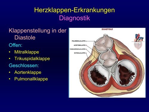 Mittlerer Gradient (mmHg) - Praxis für Kardiologie Innere Medizin Dr ...