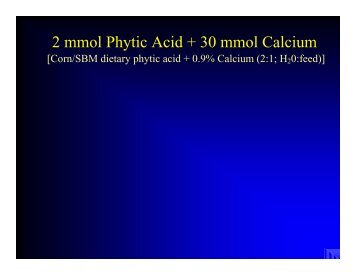 2 mmol Phytic Acid + 30 mmol Calcium