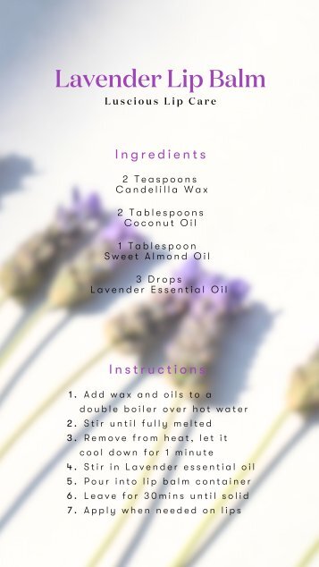 Lip Care Workshop