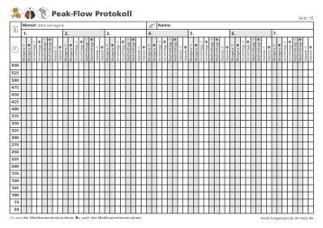 Peak-Flow Protokoll