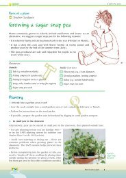Using Keys Science Making and using keys - Science & Plants for Schools