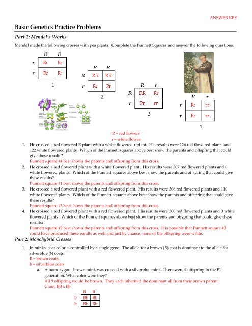 Basic Genetics Practice Problems