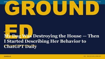 My Dog Was Destroying the House — A 13-Slide Visual Guide for