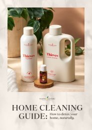 Home Cleaning Guide
