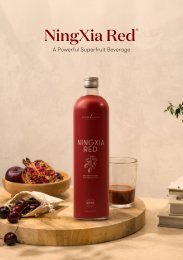 NingXia Booklet