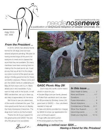needlenosenews - Greyhound Adoption of Greater Cincinnati