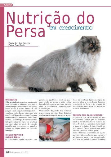 Nutrição do gato Persa em crescimento - Royal Canin