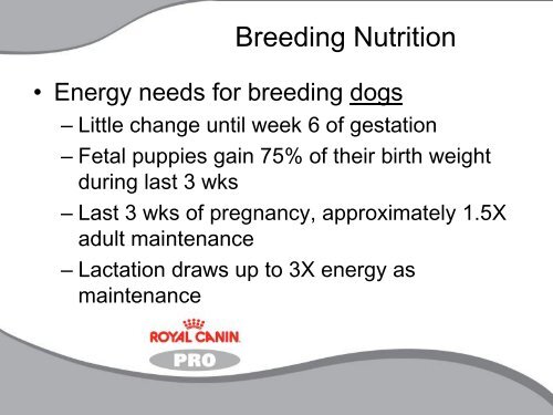 Breeding Nutrition.pdf - Royal Canin Canada