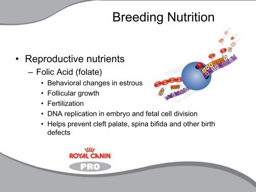 Breeding Nutrition.pdf - Royal Canin Canada