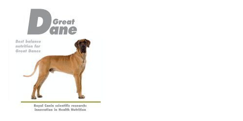 The Great Dane - Breed Nutrition - Royal Canin