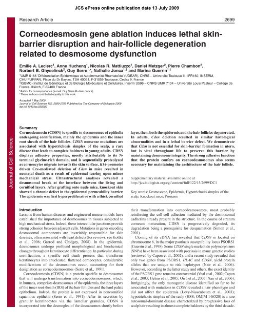 Corneodesmosin gene ablation induces lethal skin - Journal of Cell ...