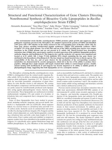 Bacillus amyloliquefaciens - ABiTEP GmbH