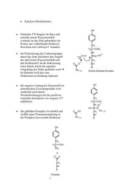 Die biochemische Bedeutung von ZINK - Userpage