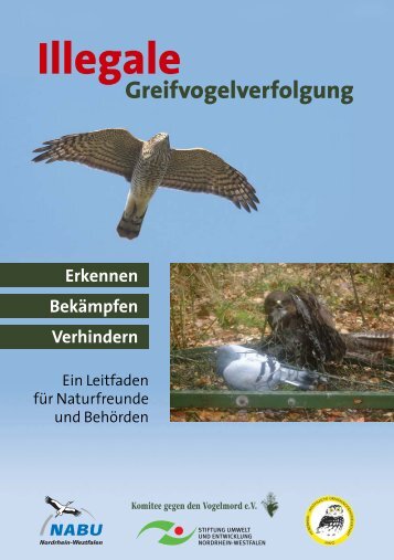 Illegale Greifvogelverfolgung - LBV Landshut