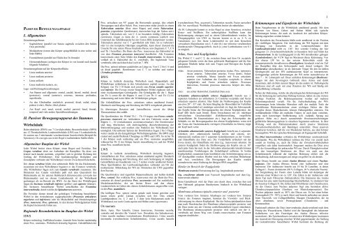 Anatomie Skript Alles Auf 27 Seiten Schriftgrosse 6