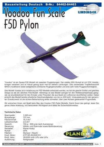 Voodoo Fun Scale F5D Pylon - Modellbau Lindinger Onlineshop