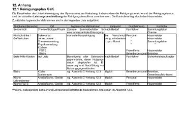 12. Anhang 12.1 Reinigungsplan GaK - GaK Gymnasium am ...