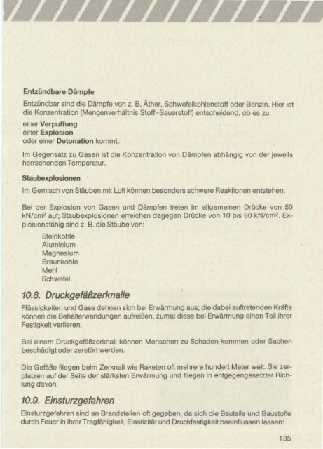 BVS Brandschutz (1993)