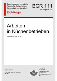 BGR 111 Arbeiten in Küchenbetrieben (bisherige ZH 1/37)