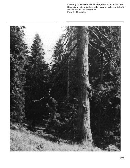 Heft 1 - Klima und Böden (PDF 8 MB - Nationalpark Bayerischer Wald