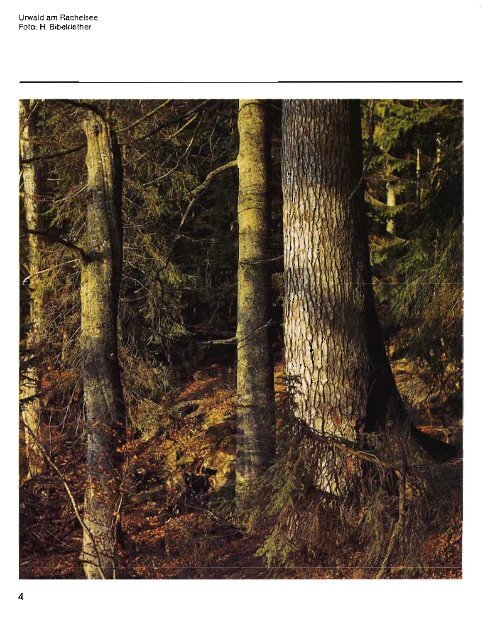 Heft 1 - Klima und Böden (PDF 8 MB - Nationalpark Bayerischer Wald